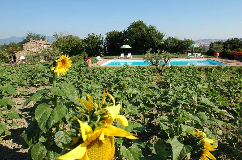 Agriturismo Poggio Porsenna - Con Piscina Βίλα Proceno Εξωτερικό φωτογραφία