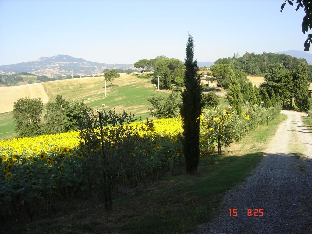 Agriturismo Poggio Porsenna - Con Piscina Βίλα Proceno Εξωτερικό φωτογραφία