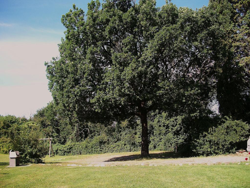 Agriturismo Poggio Porsenna - Con Piscina Βίλα Proceno Εξωτερικό φωτογραφία